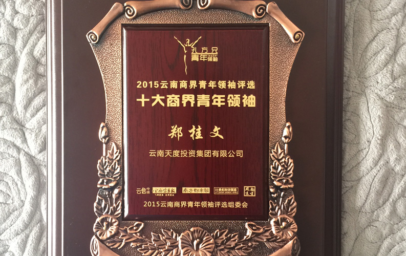 在“互聯(lián)網(wǎng)大時(shí)代”的背景下，天度作為本土很大和很有名的互聯(lián)網(wǎng)服務(wù)企業(yè)，為近萬家傳統(tǒng)企業(yè)轉(zhuǎn)型互聯(lián)網(wǎng)+提供了服務(wù)和幫助，獲此獎項(xiàng)后，我們將再接再厲，創(chuàng)造更高的社會價(jià)值